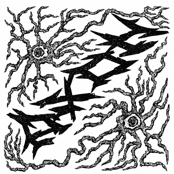  - S/T
