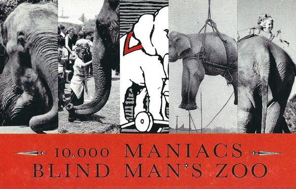 10,000 Maniacs - Blind Man's Zoo