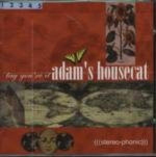 Adam's Housecat - Tag, You're It