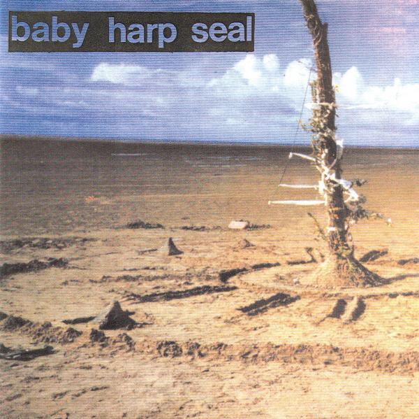 Baby Harp Seal - Baby Harp Seal