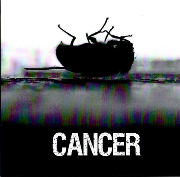 Cancer  - Cancer