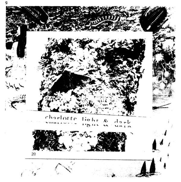 Charlotte Light And Dark - Charlotte Light And Dark