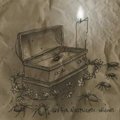 Day for Airstrikes - Widows