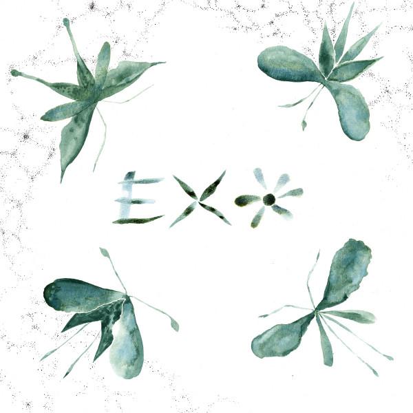  - Exo