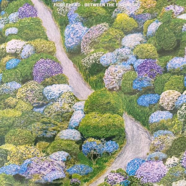 Fiddlehead  - Between the Richness