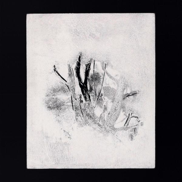 Infant Island - Collections I