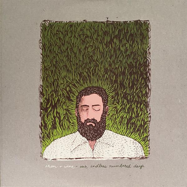 Iron And Wine - Our Endless Numbered Days
