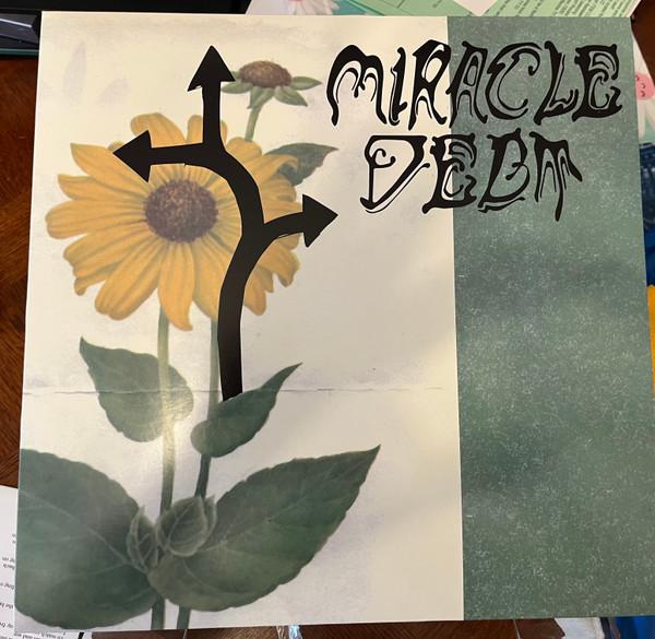 Miracle Debt - Under The Shadow
