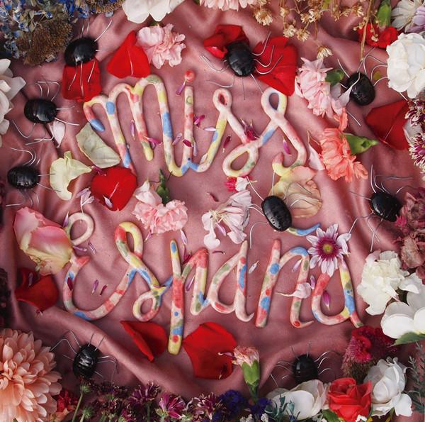 Miss España - Niebla Mental