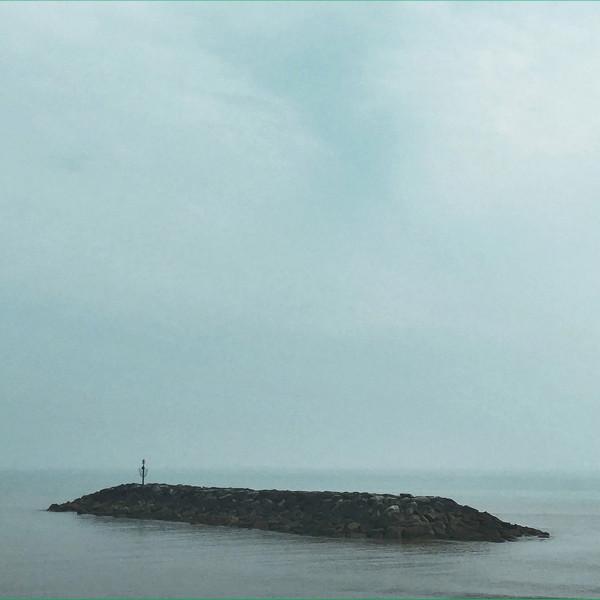 Moss Covered Technology - Seafields