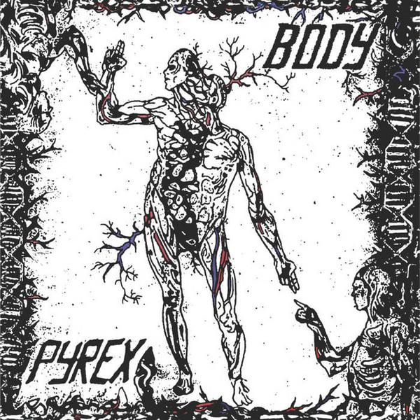 Pyrex  - Body