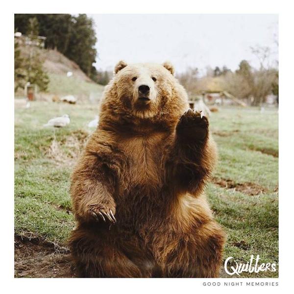 Quitters  - Good Night Memories