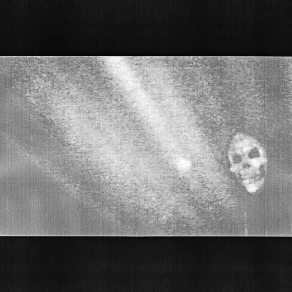 Sealings - I'm a Bastard
