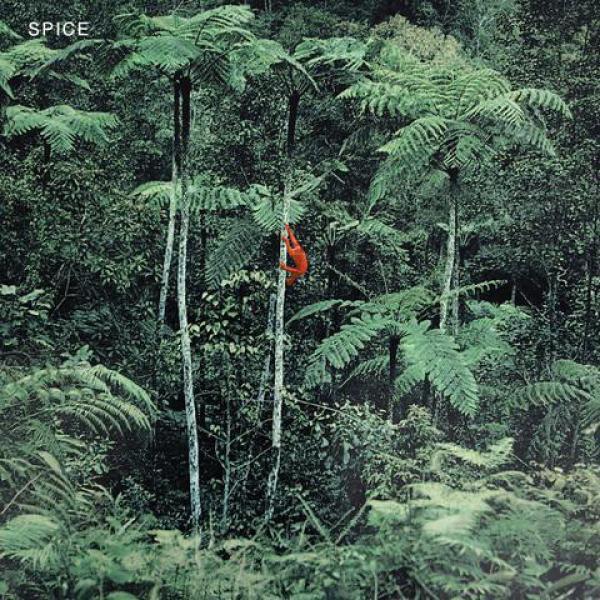 Spice (46) - Spice