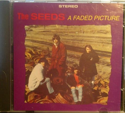 The Seeds - A Faded Picture