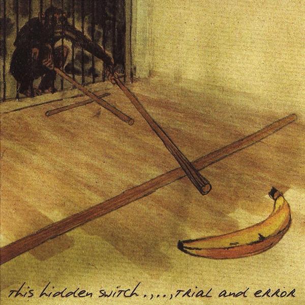 This Hidden Switch - Trial And Error