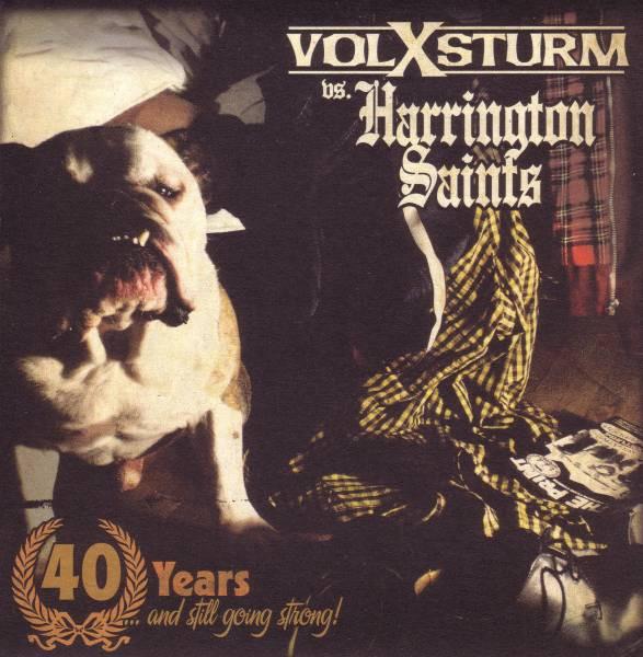 Volxsturm, Harrington Saints - 40 Years ...And Still Going Strong!